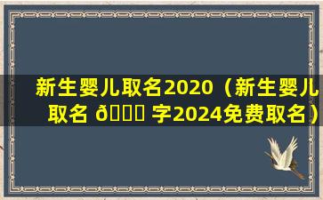 新生婴儿取名2020（新生婴儿取名 🐕 字2024免费取名）